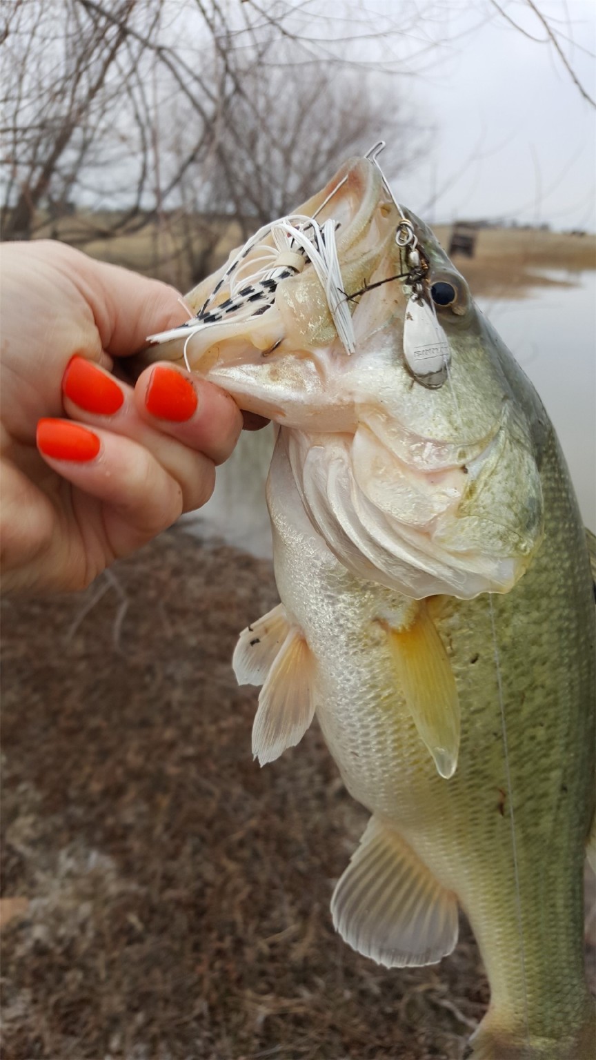 355 County Road 144 Comanche, TX 76442 - Photo 6 of 14 a close view of shoes