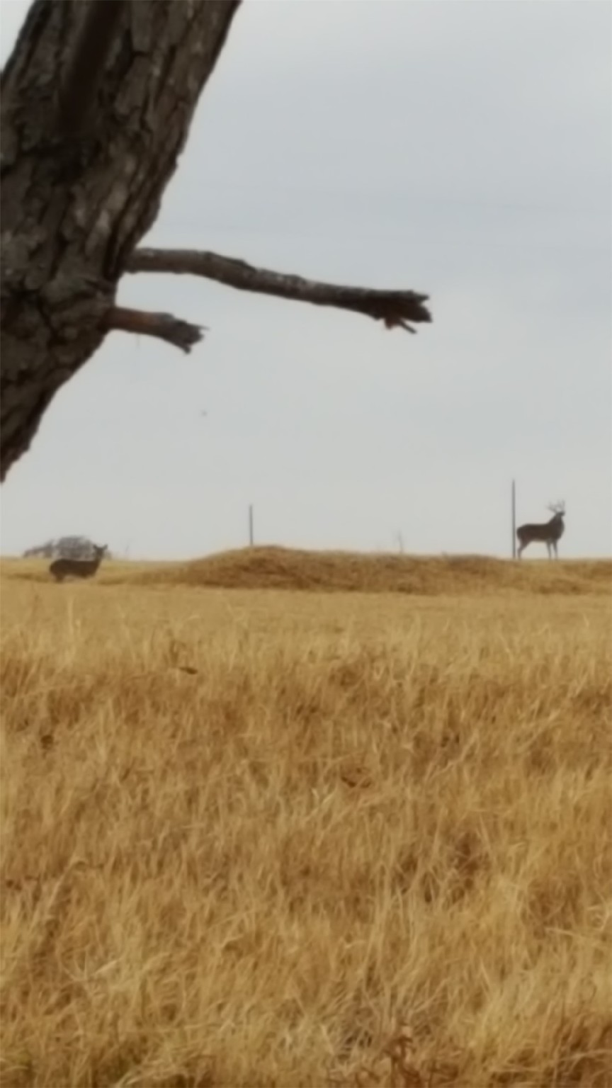 355 County Road 144 Comanche, TX 76442 - Photo 7 of 14 a view of an ocean