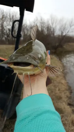 a backyard of a house