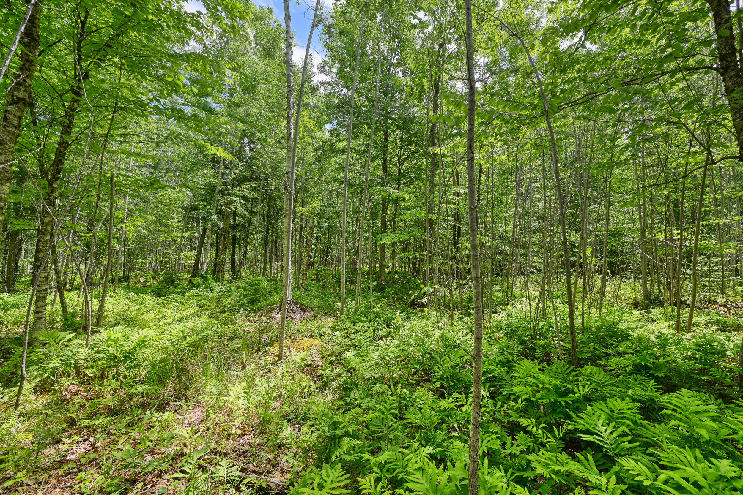 0 Macomber Road Readfield, ME 04355 - Photo 11 of 61 149-Z4LWJYW--LP-110