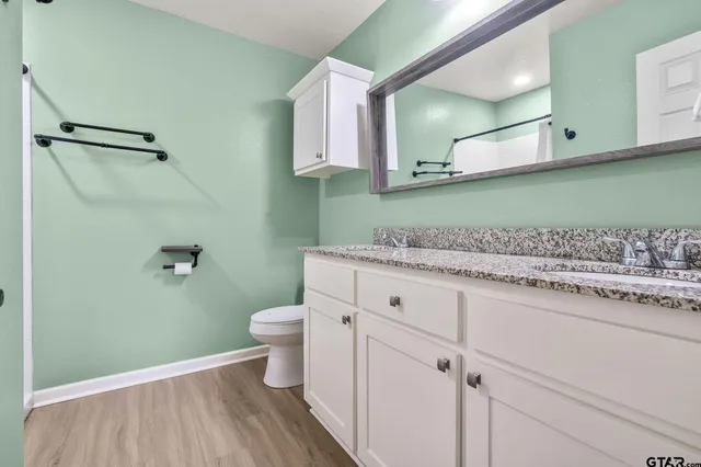 a bathroom with a granite countertop sink toilet and a mirror