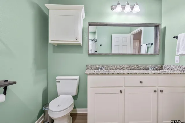 a bathroom with a granite countertop toilet sink and mirror