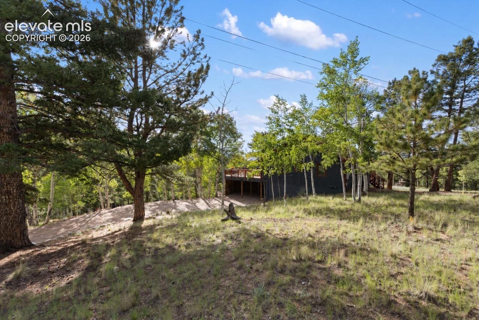 307 Berylium Road Florissant, CO 80816 - Photo 43 of 49 Gallery Image 43