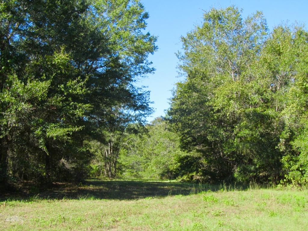 76-ac Cosson Road DeFuniak Springs, FL 32435 - Photo 1 of 20 Must See