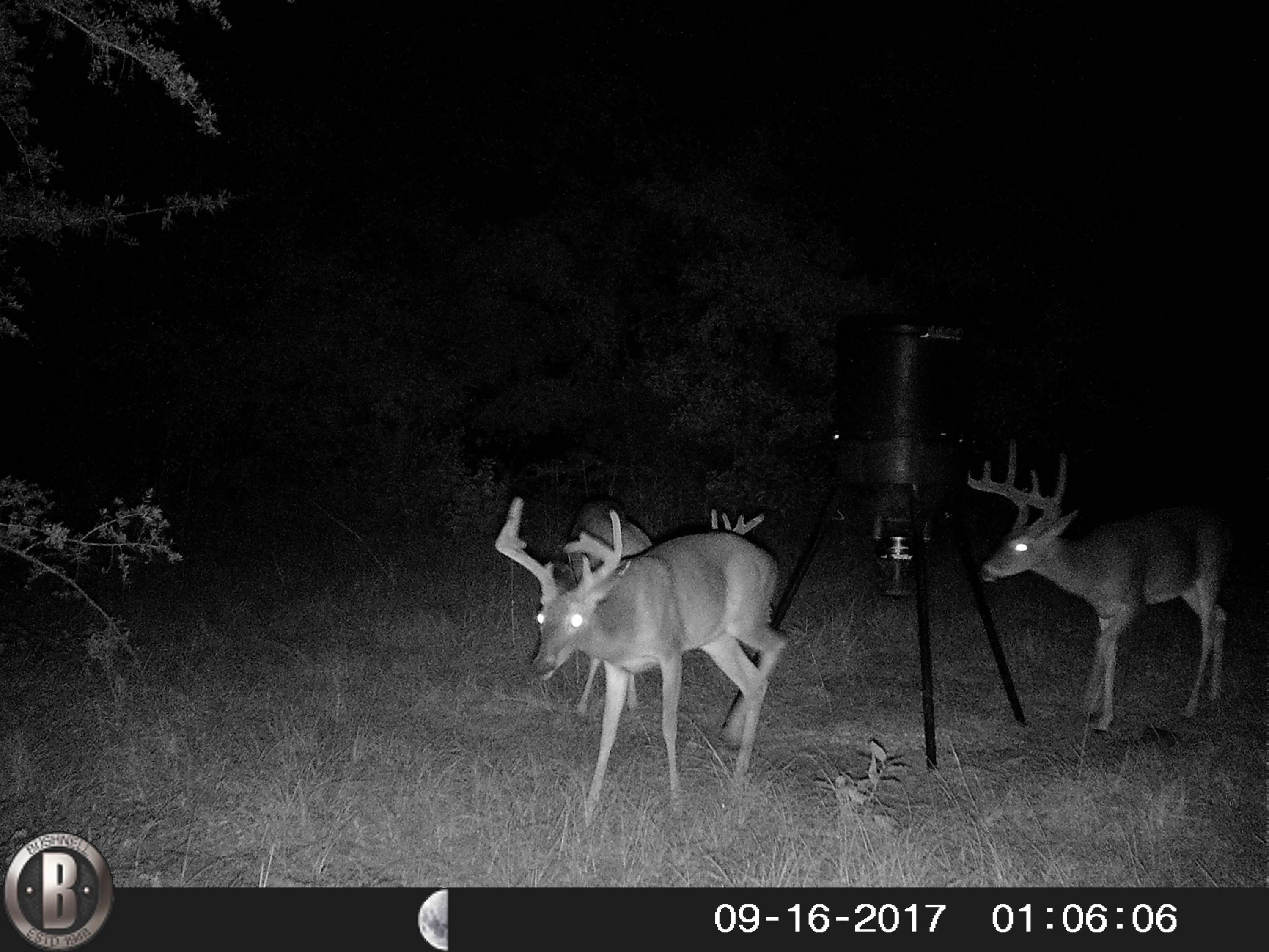 76-ac Cosson Road DeFuniak Springs, FL 32435 - Photo 13 of 20 HUNT0037