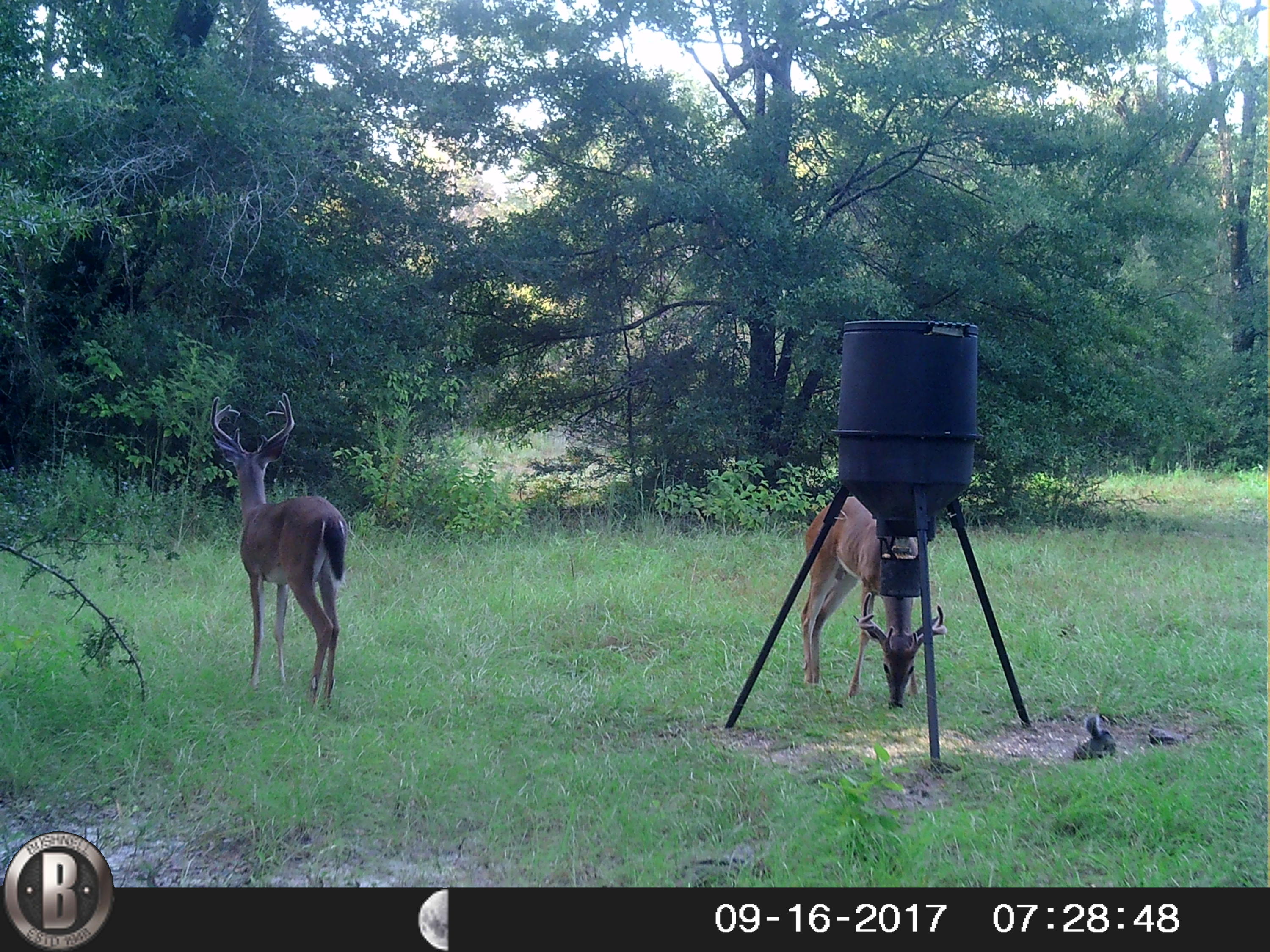 76-ac Cosson Road DeFuniak Springs, FL 32435 - Photo 14 of 20 HUNT0062
