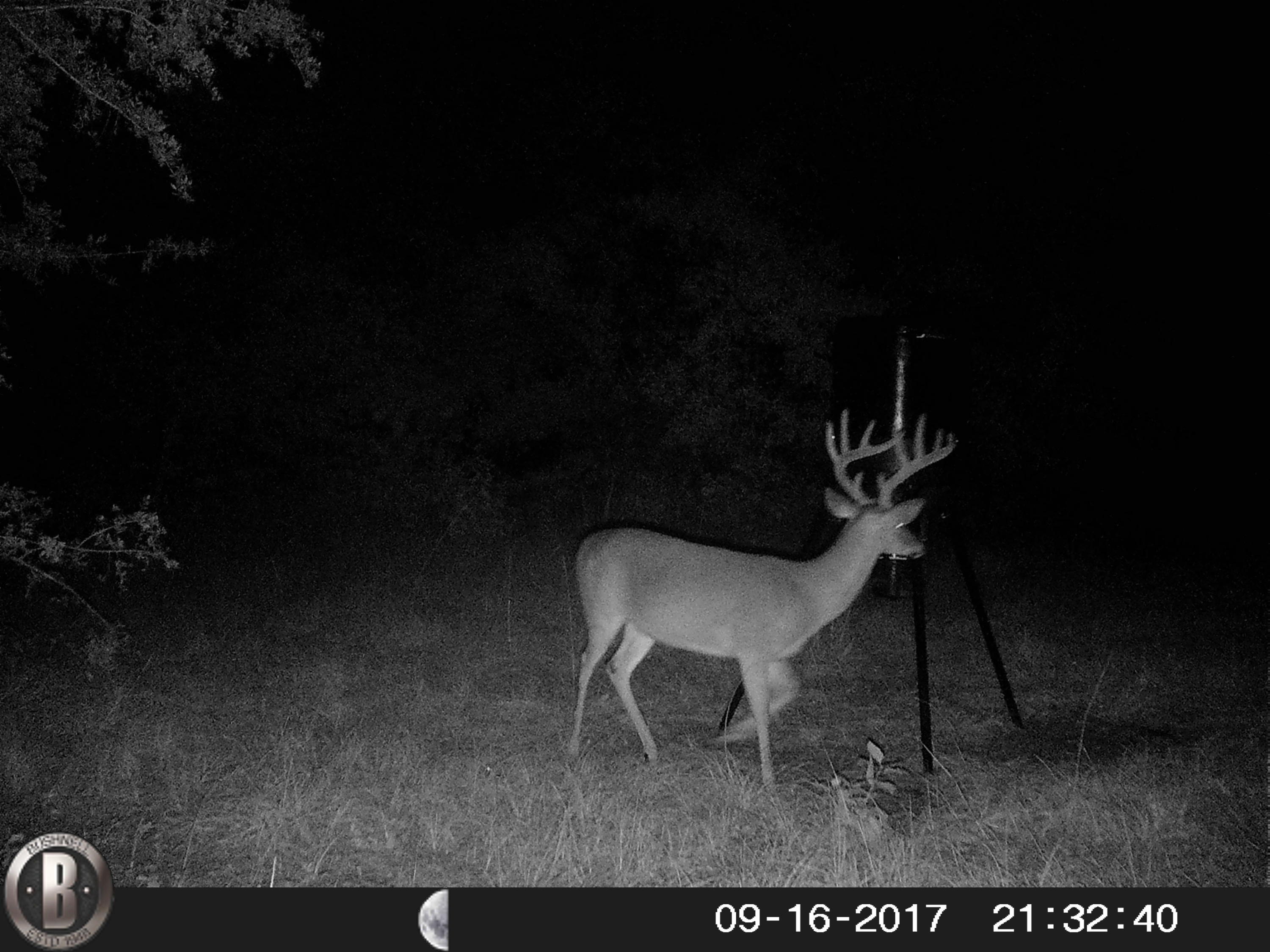 76-ac Cosson Road DeFuniak Springs, FL 32435 - Photo 15 of 20 HUNT0070