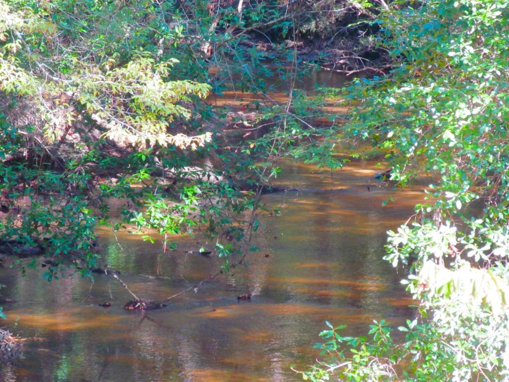 76-ac Cosson Road DeFuniak Springs, FL 32435 - Photo 2 of 20 Sconiers Creek