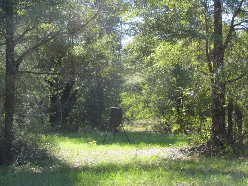 76-ac Cosson Road DeFuniak Springs, FL 32435 - Photo 3 of 20 Peaceful
