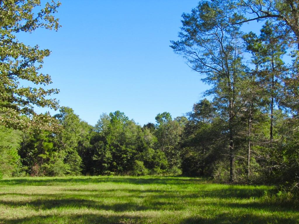 76-ac Cosson Road DeFuniak Springs, FL 32435 - Photo 4 of 20 Ready to use