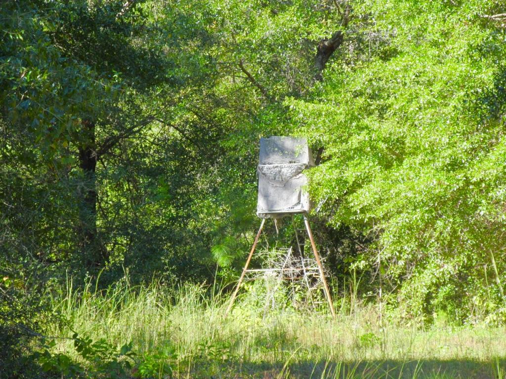 76-ac Cosson Road DeFuniak Springs, FL 32435 - Photo 5 of 20 Plenty of game