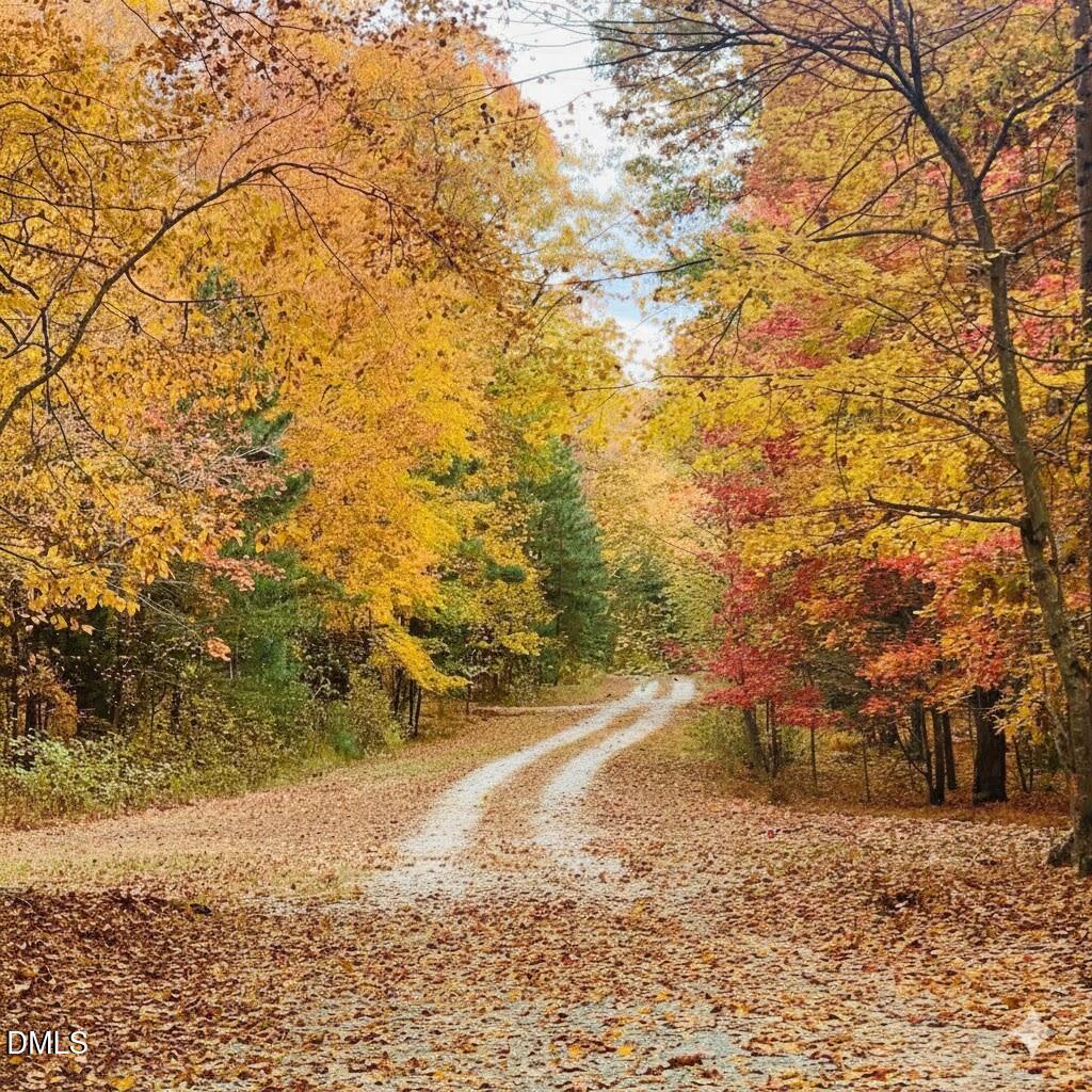 3225 Back Acres Road Efland, NC 27243 - Photo 47 of 57 a view of a yard with trees