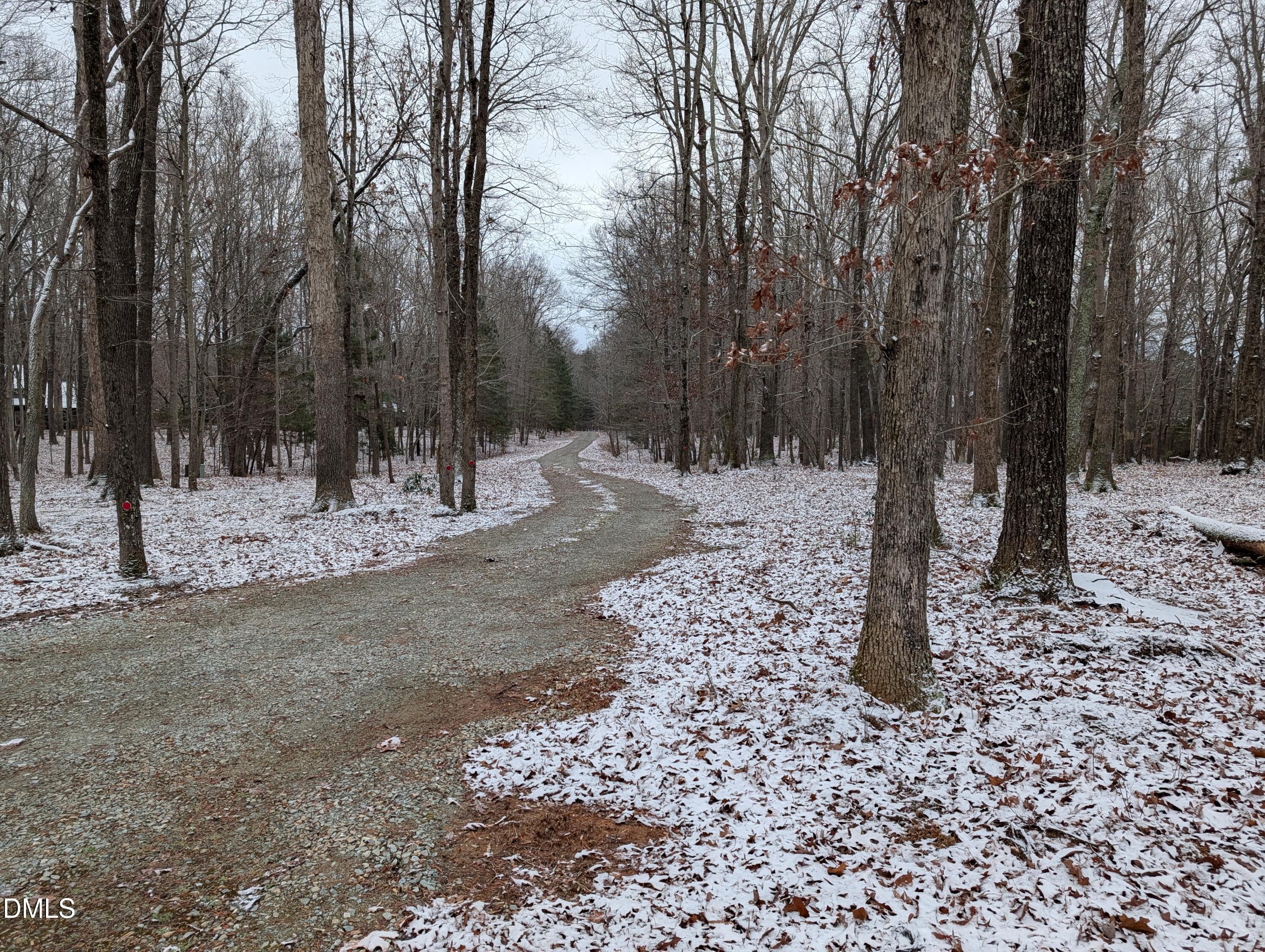 3225 Back Acres Road Efland, NC 27243 - Photo 51 of 57 a view of a snow on the side of the road