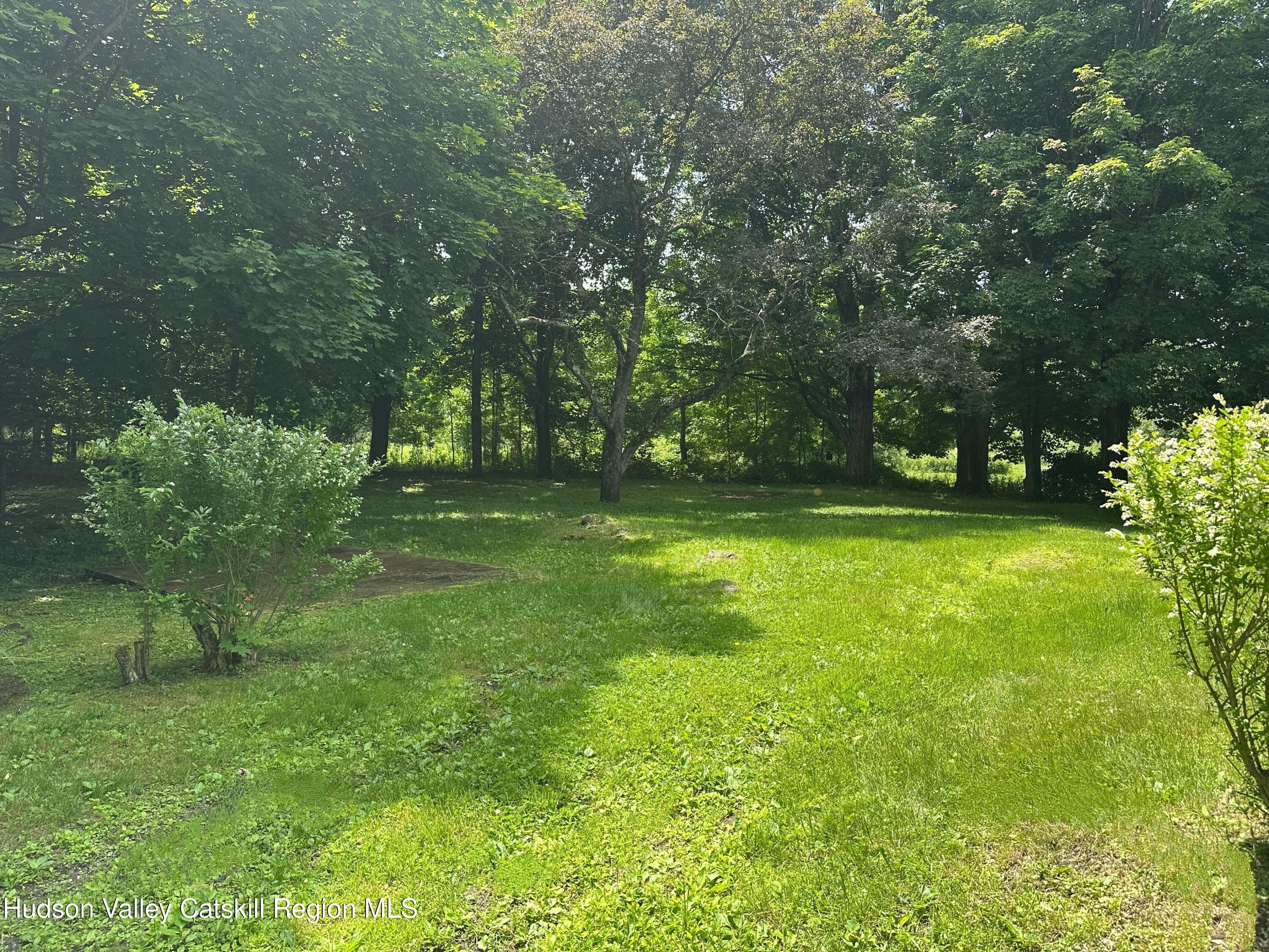 2206 County Route 7 Copake, NY 12516 - Photo 5 of 19 IMG_6464 (1)