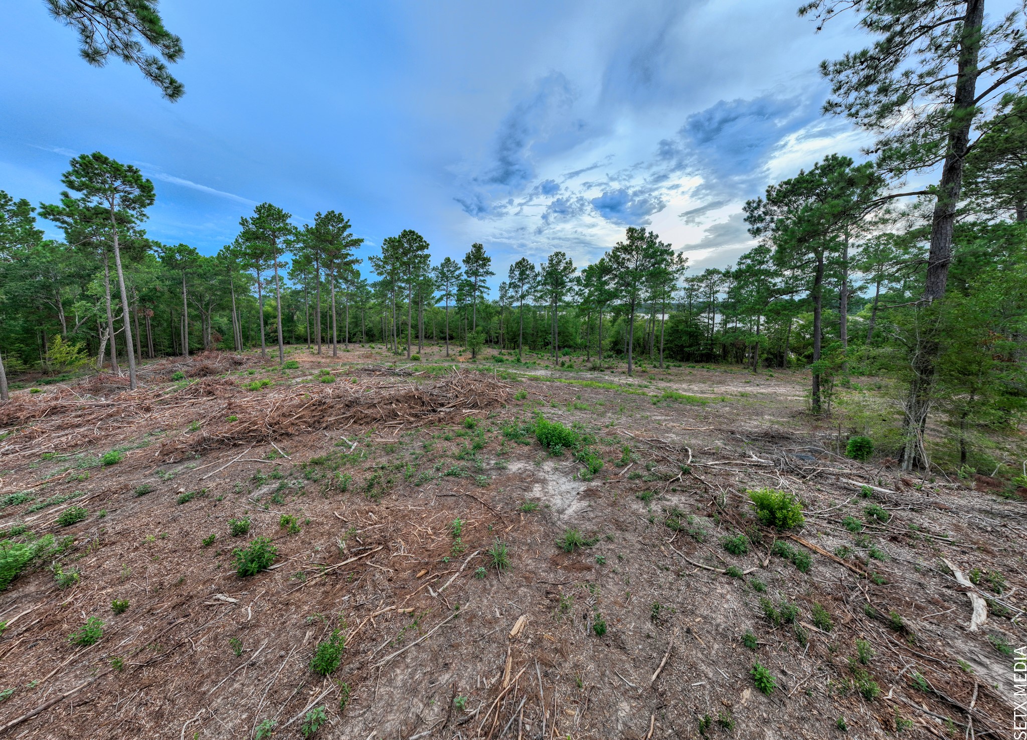 5 Fm 83 Bronson, TX 75930 - Photo 16 of 17 a view of a field with trees in background