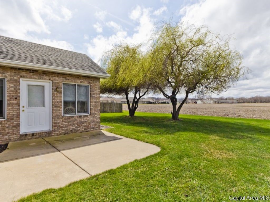 6117 Willow Springs Road Springfield, IL 62712 - Photo 27 of 29