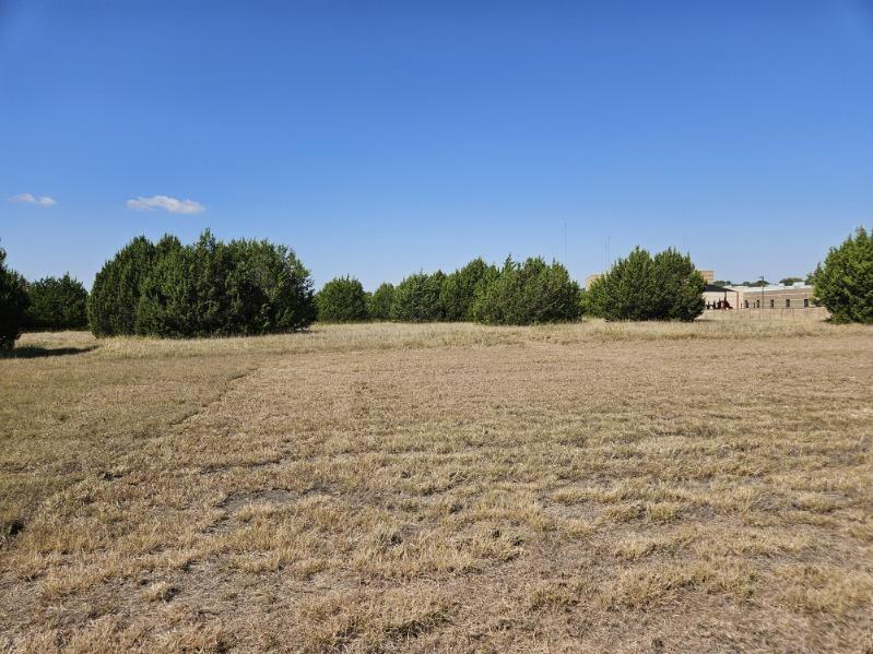 1000 South Joe Wilson Road Cedar Hill, TX 75104 - Photo 3 of 8 a view of lake and mountain view