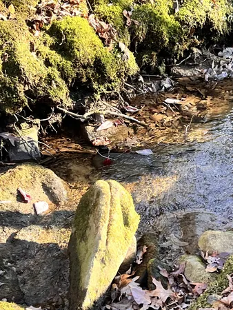 a view of swimming pool