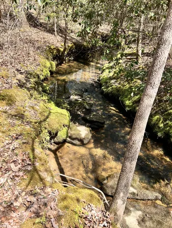 a view of swimming pool from a yard