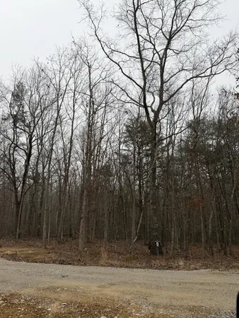 $77,900 | 72 Lady Slipper Lane, Pelham, TN 37366