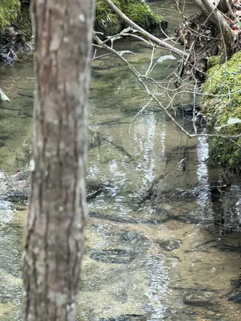 $77,900 | 72 Lady Slipper Lane, Pelham, TN 37366