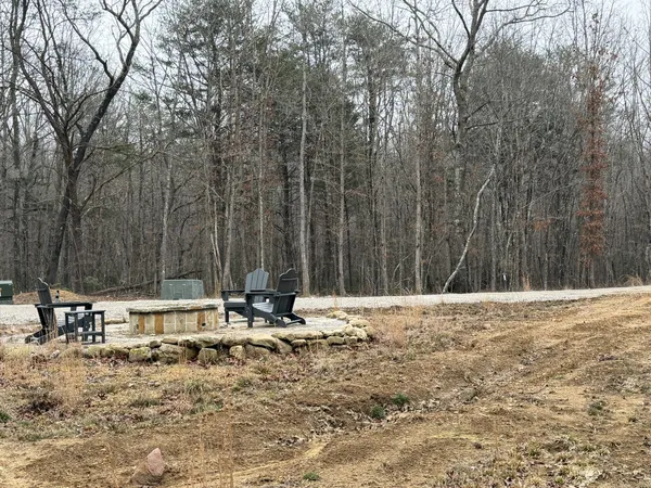 a view of a yard with a tree