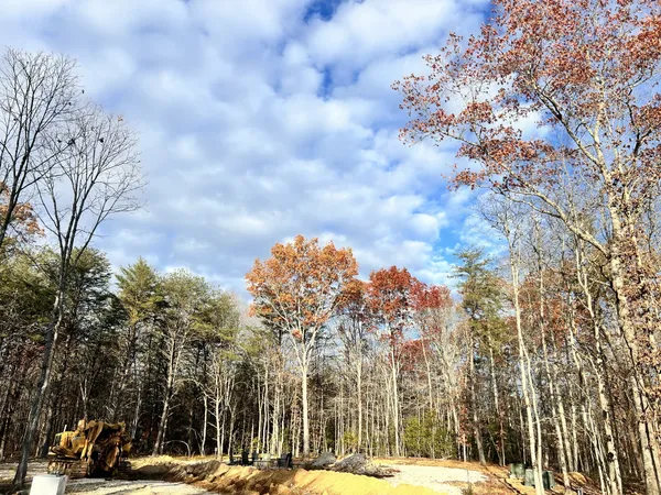 a view of outdoor space with trees all around