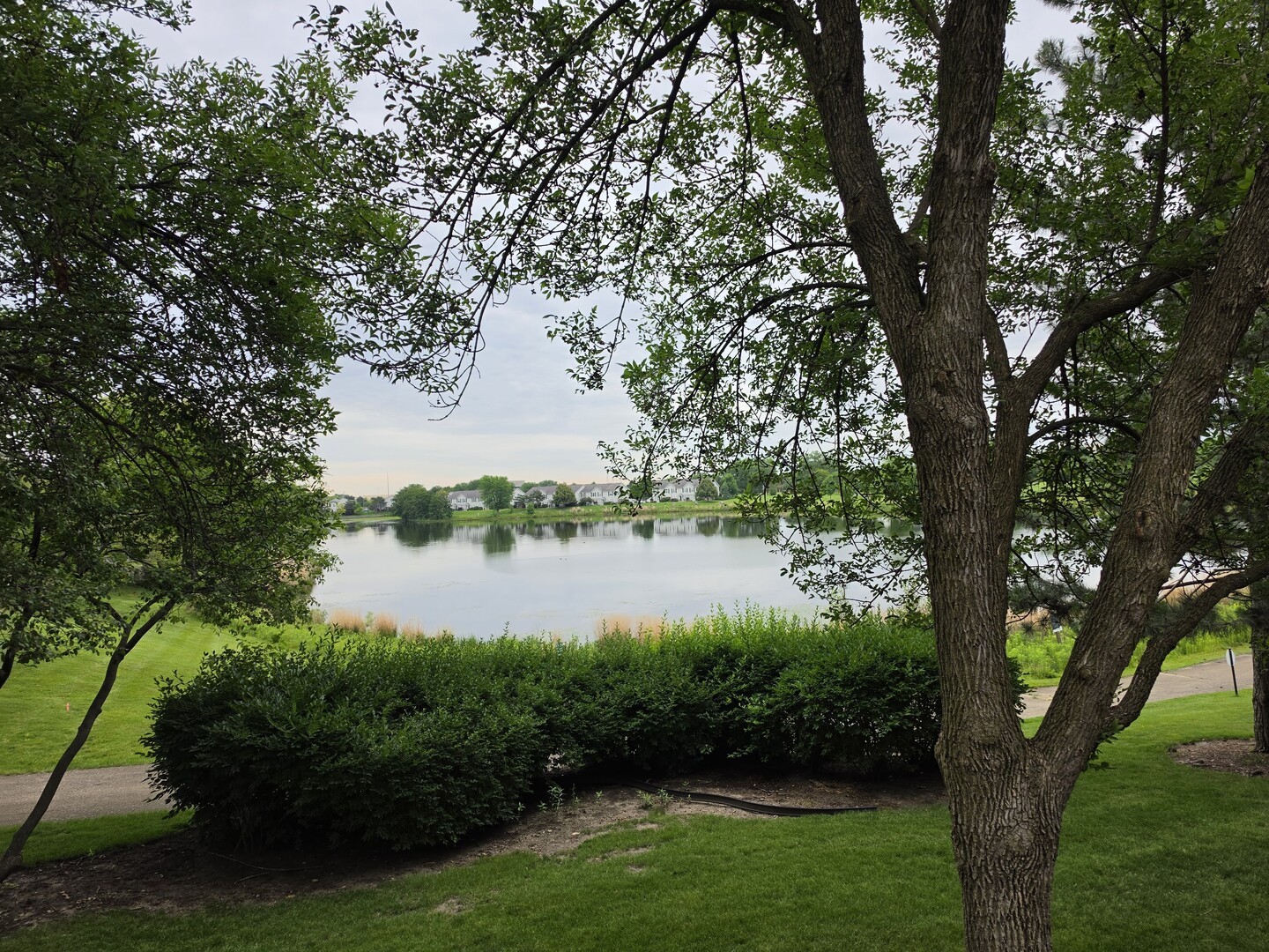 327 Shadybrook Lane Aurora, IL 60504 - Photo 9 of 30