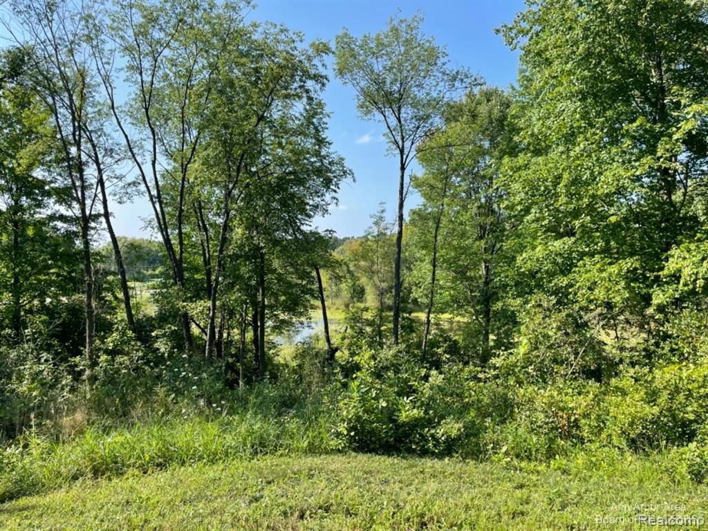 Vl Denton Hills Road Fenton, MI 48430 - Photo 8 of 21