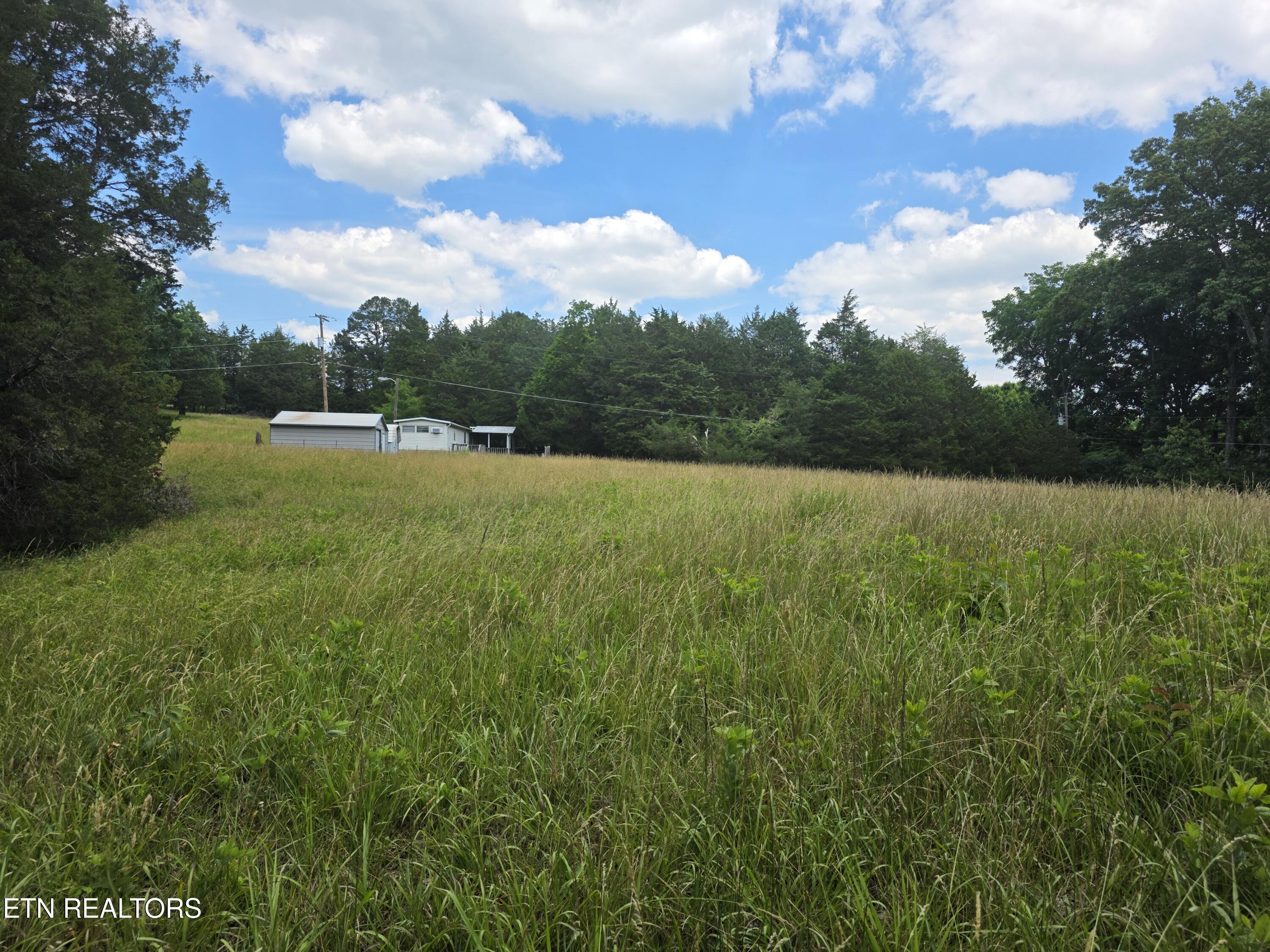 8050 Lett Road Corryton, TN 37721 - Photo 9 of 30 Field