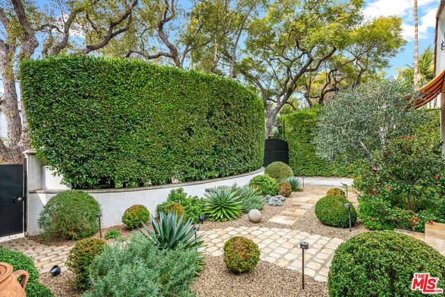 a view of a garden with plants