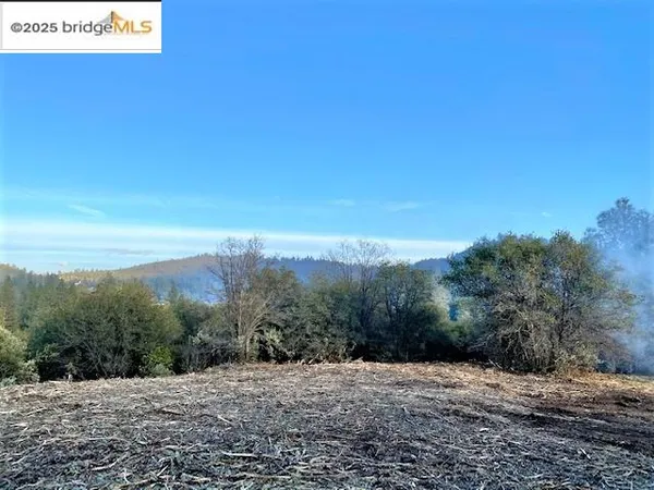 a view of a dry yard with mountains in the background
