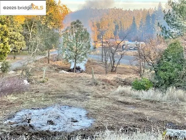 a view of a dry yard