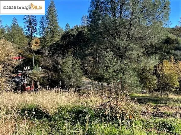 $329,000 | 17290 Anderson Street, Big Oak Flat, CA 95305