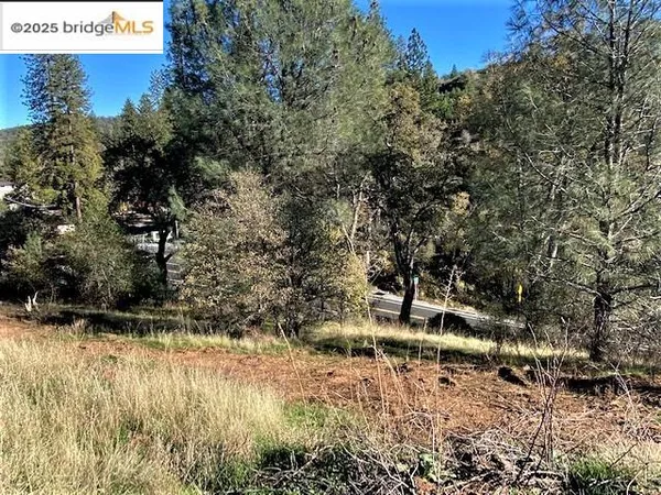 $329,000 | 17290 Anderson Street, Big Oak Flat, CA 95305