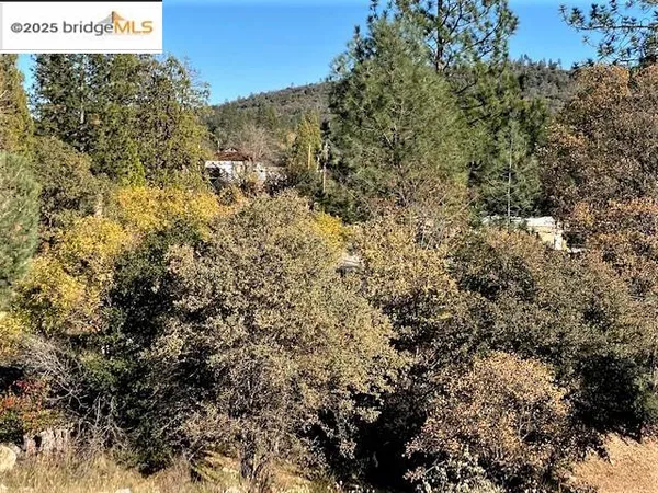 $329,000 | 17290 Anderson Street, Big Oak Flat, CA 95305