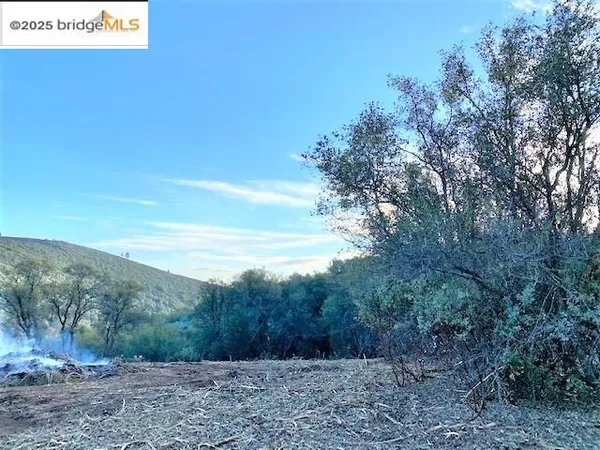 a view of a dry yard with trees in the background