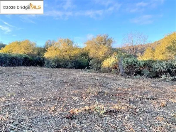 a view of a dry yard
