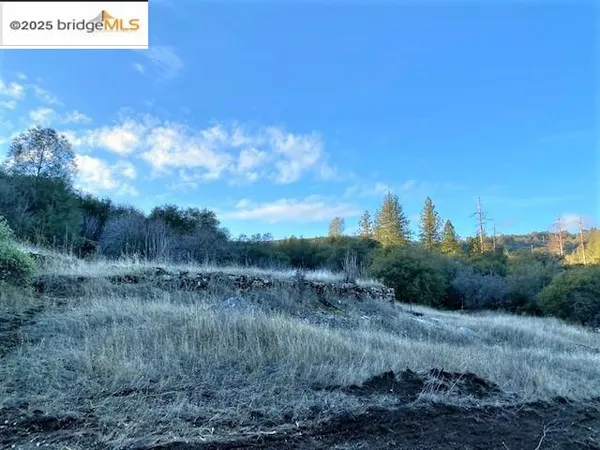 a view of a field with an trees