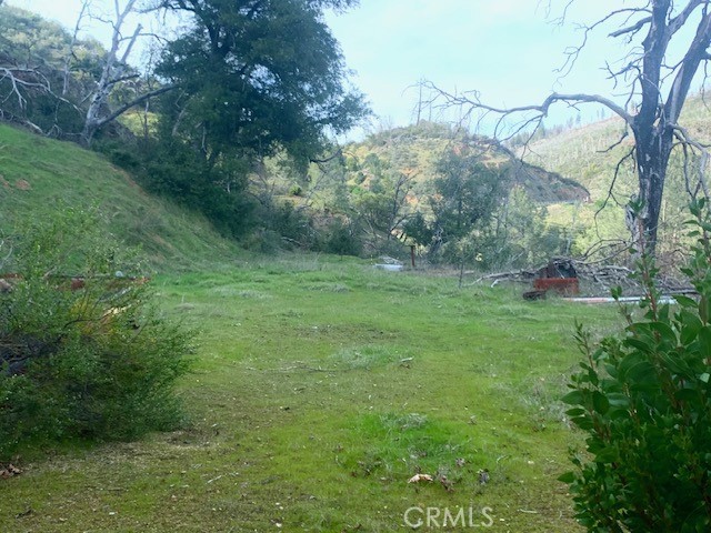 17775 Highway 175 Middletown, CA 95461 - Photo 6 of 10 a big yard with lots of green space and trampoline