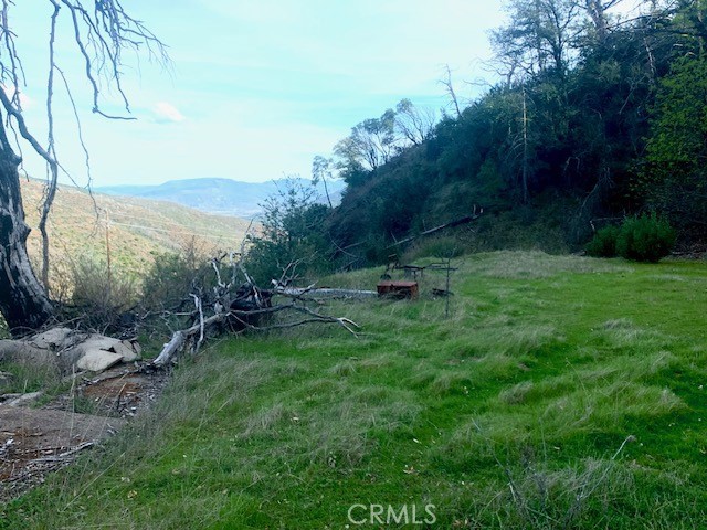 17775 Highway 175 Middletown, CA 95461 - Photo 7 of 10 a view of a park with large trees