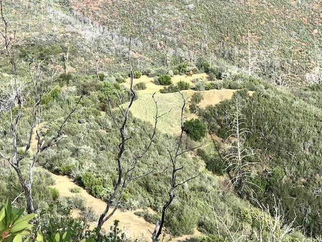 17775 Highway 175 Middletown, CA 95461 - Photo 9 of 10 a view of residential house with green space