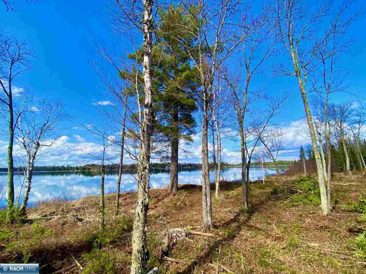 Lot 5 Boulder Ridge Road Cook, MN 55723 - Photo 6 of 19
