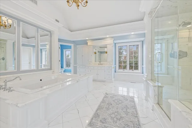 a view of a park with large trees