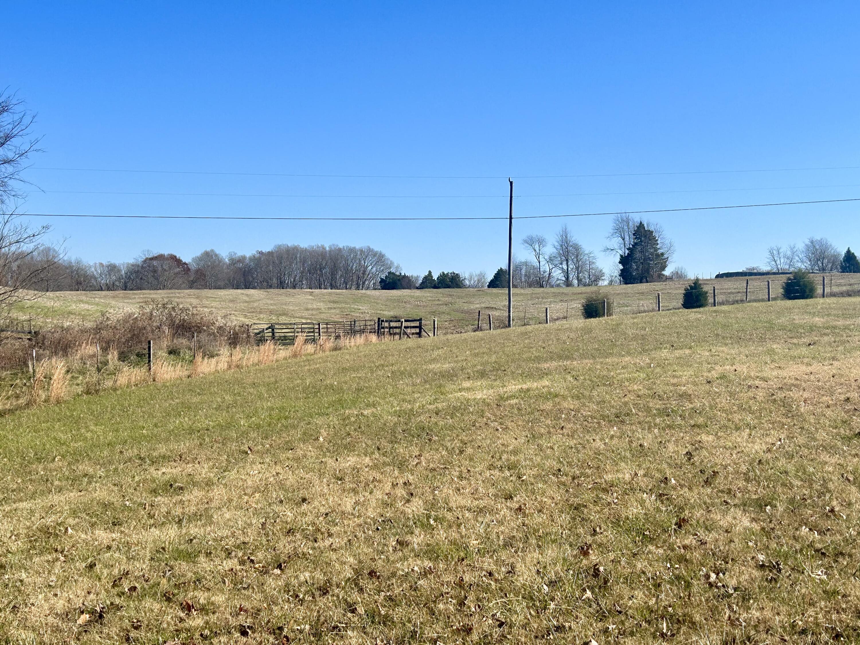 575 Piney Woods Road Nancy, KY 42544 - Photo 11 of 50 F3470386-E9BB-418A-A186-7F64B004A53C