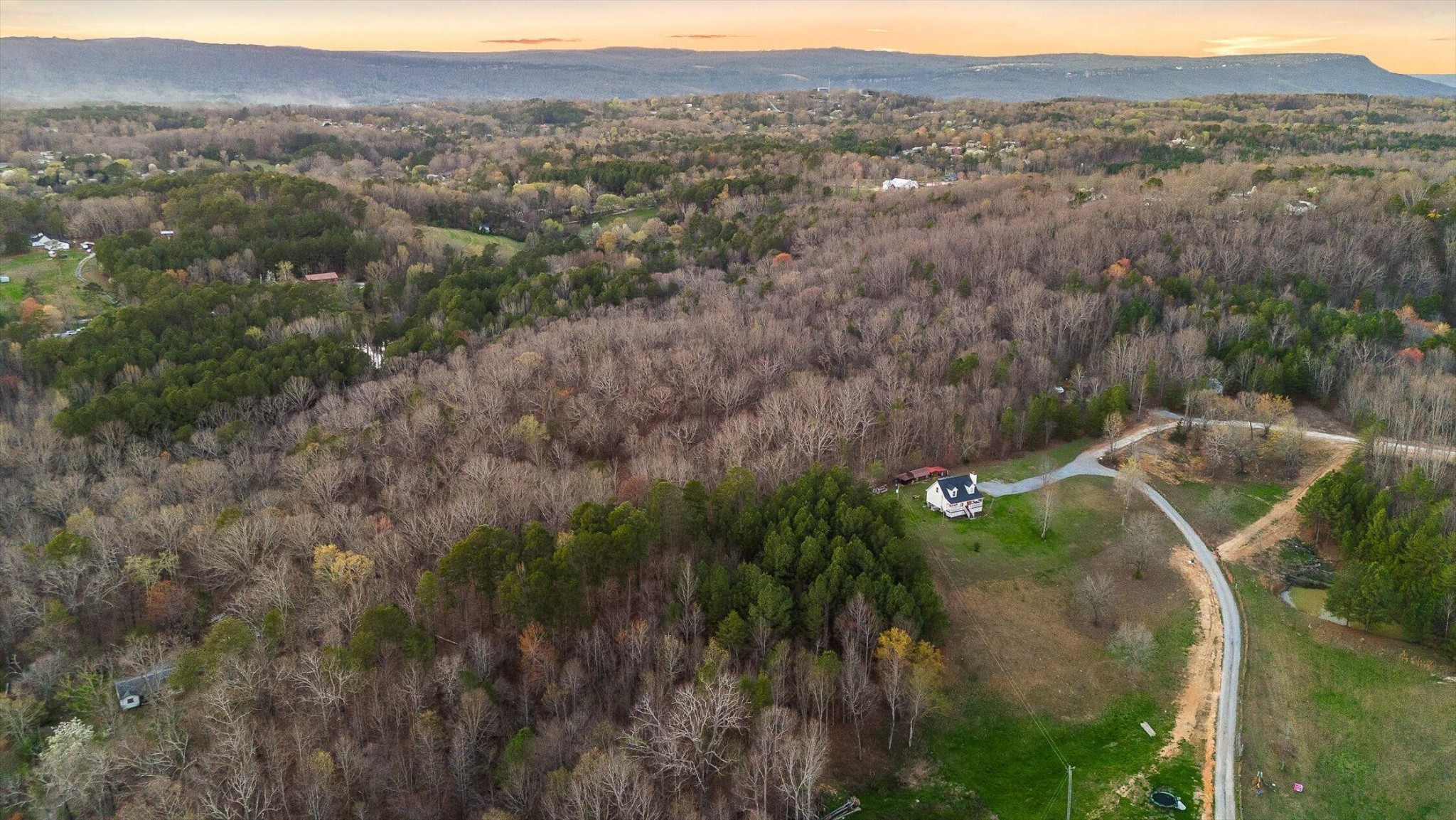 1068 Rogers Road Chickamauga, GA 30707 - Photo 53 of 68 a view of a forest with trees in front of it