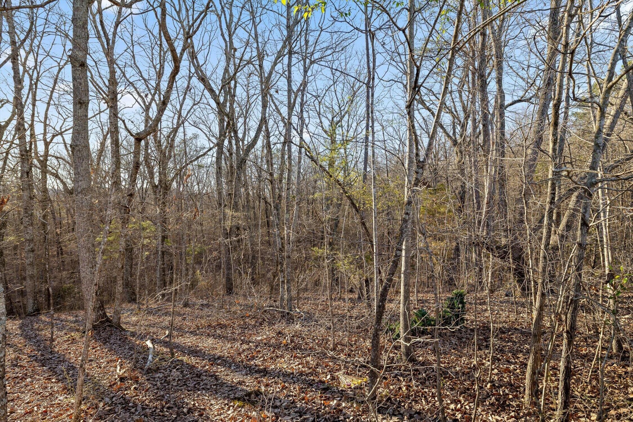 1068 Rogers Road Chickamauga, GA 30707 - Photo 65 of 68