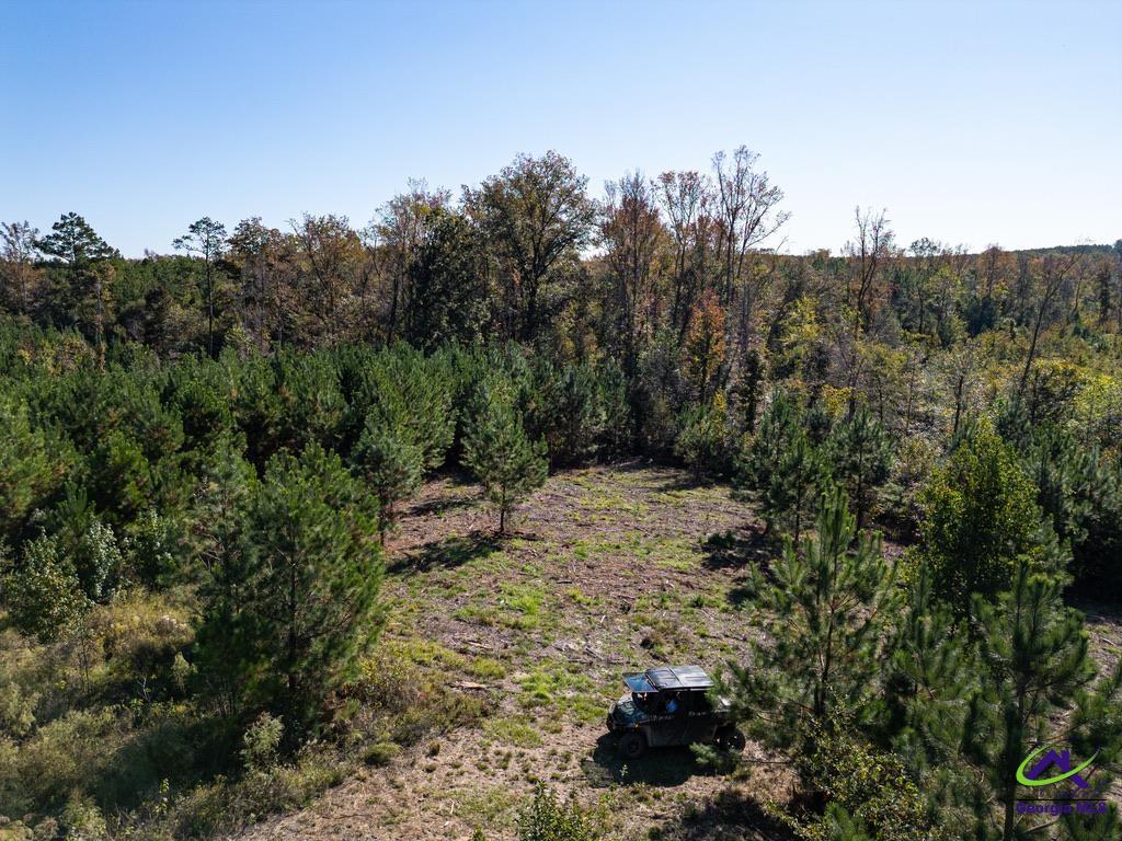 1190 Wriley Road McIntyre, GA 31054 - Photo 14 of 25 Gallery Image 14