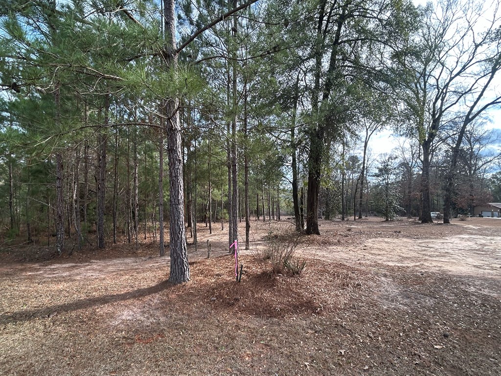 9-ac Whittle Hudson Road Ozark, AL 36360 - Photo 13 of 34