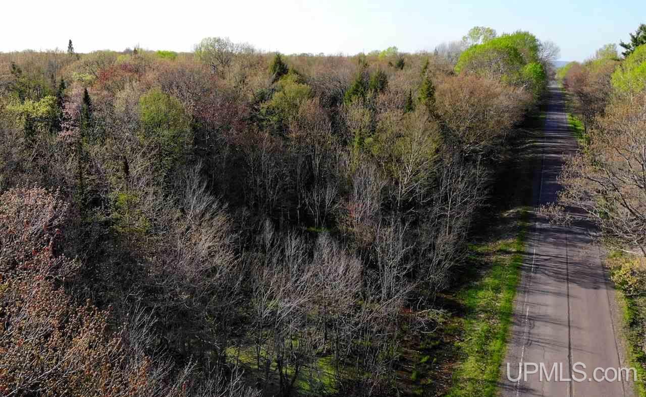 Tbd Rauhala Road, Unit PARCEL 3 Atlantic Mine, MI 49931 - Photo 5 of 19